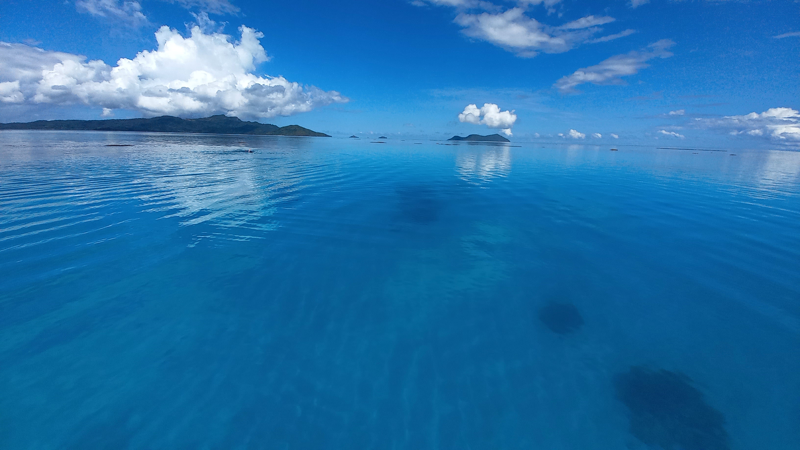 Baleine sautant dans le lagon de Mayotte