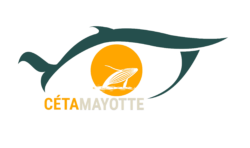 Logo Cetamayotte