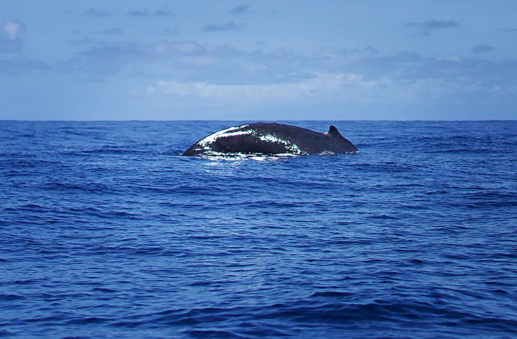 IMG-20220822-WA0007
