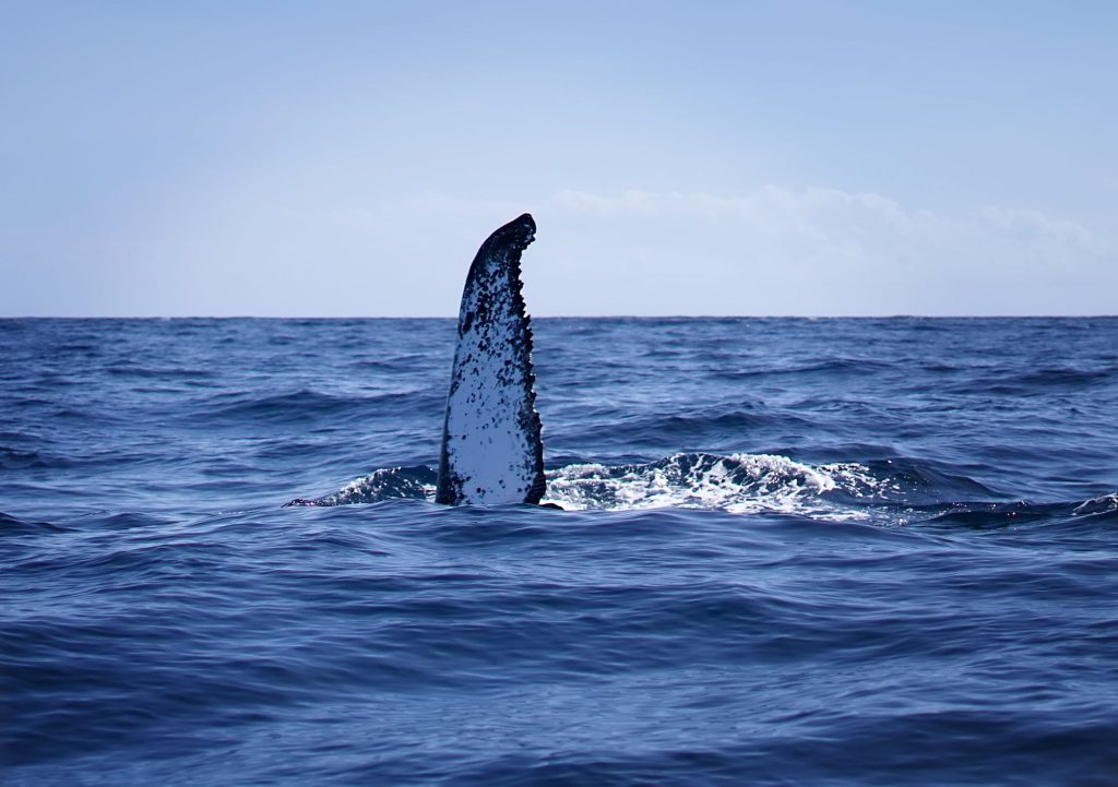IMG-20220822-WA0020