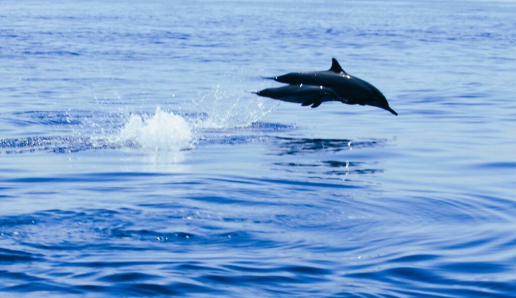 IMG-20250914-WA0015